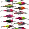 Warrior Custom Painted Berkley Flicker Shad 7 2 Warrior Custom Painted Berkley Flicker Shad 7 -Sport Fishing Gear Custom family picturet