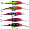 Berkley Flicker Minnow 9 Custom Painted 2 Berkley Flicker Minnow 9 Custom Painted -Sport Fishing Gear Minnow 9 Family