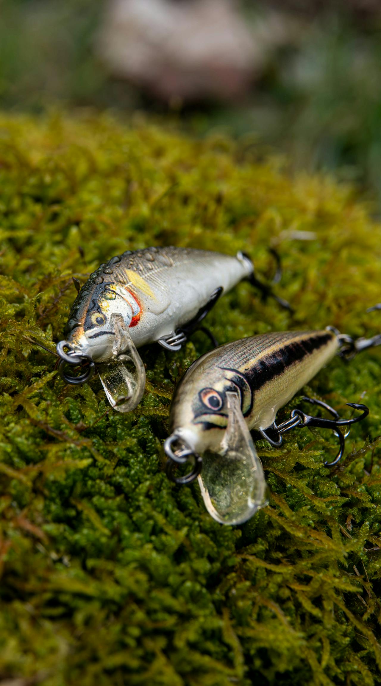 Sport Fishing Gear 4 Sport Fishing Gear -Sport Fishing Gear pexels bejan adrian 1049543305 29776472